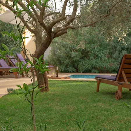 Bamboo Garden Oasis With Pool